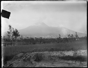 Link to digital version
