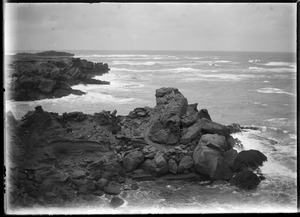 Link to digital version
