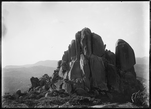 Link to digital version