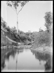 Link to digital version