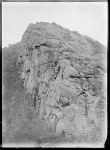 Link to digital version