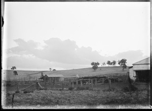 Link to digital version
