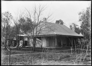 Link to digital version