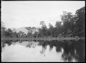Link to digital version