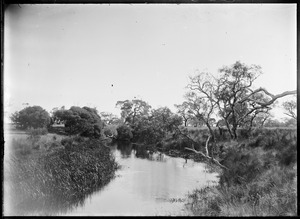 Link to digital version