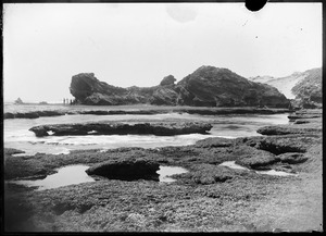 Link to digital version