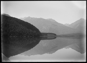 Link to digital version
