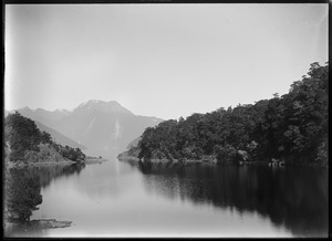 Link to digital version