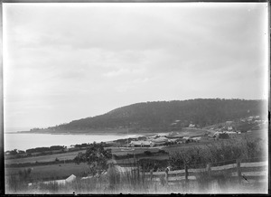Link to digital version