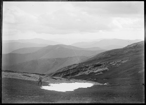 Link to digital version