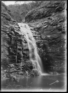 Link to digital version