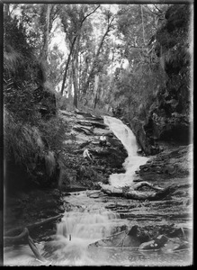 Link to digital version