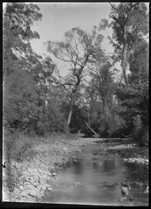 Link to digital version