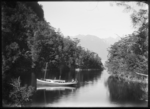 Link to digital version