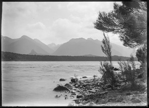 Link to digital version