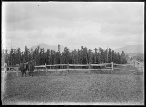 Link to digital version