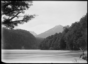 Link to digital version