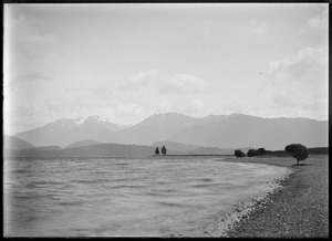 Link to digital version