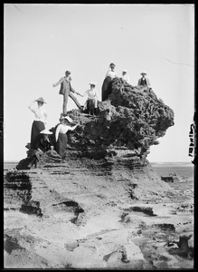 Link to digital version