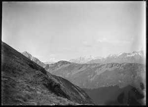 Link to digital version