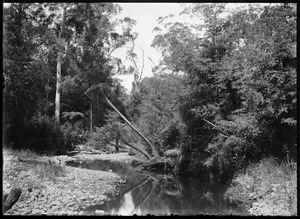 Link to digital version