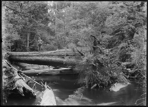 Link to digital version