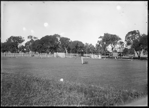 Link to digital version