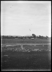 Link to digital version