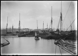 Link to digital version