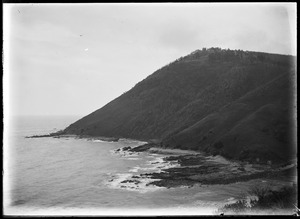 Link to digital version