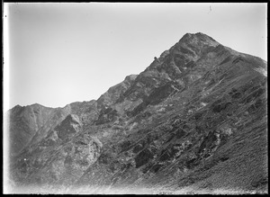 Link to digital version