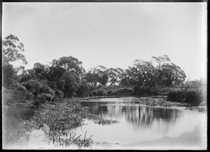 Link to digital version