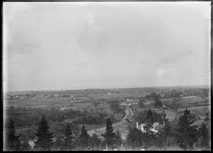 Link to digital version