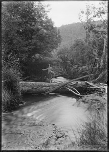 Link to digital version