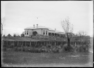 Link to digital version