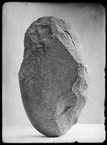 Link to digital version
