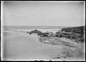 Link to digital version