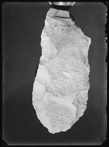 Link to digital version
