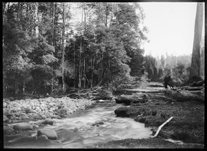 Link to digital version