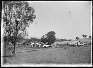 Link to digital version