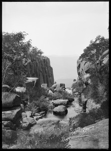 Link to digital version