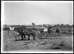 Link to digital version