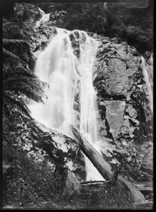 Link to digital version