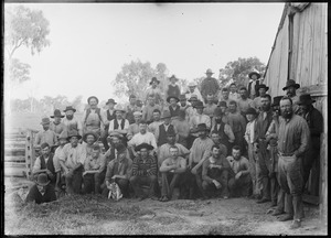 Link to digital version
