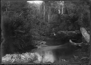 Link to digital version