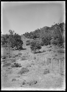 Link to digital version