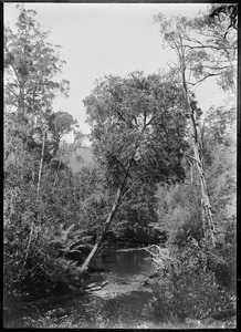 Link to digital version