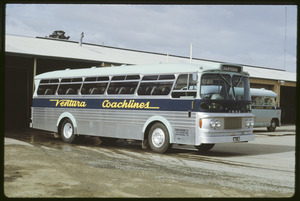 Link to digital version