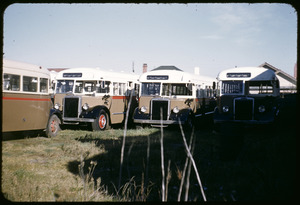 Link to digital version