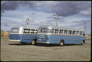 Link to digital version